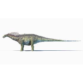 3D Amargasaurus model